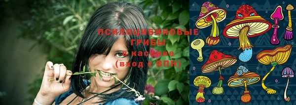 MDMA Premium VHQ Михайловск