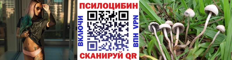 Псилоцибиновые грибы мухоморы Тарко-Сале